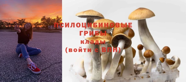 спиды Абдулино