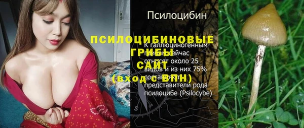 дживик Абаза