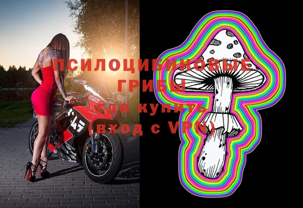бошки Алексин