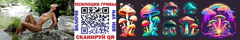 где можно купить   Дивногорск  Галлюциногенные грибы мухоморы 